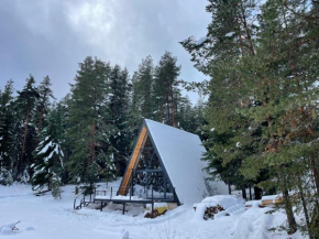 Alpine Lodge